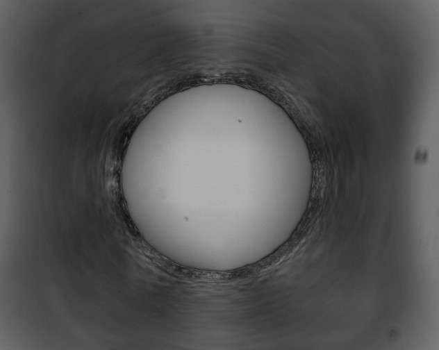 X0000101980770200807180800