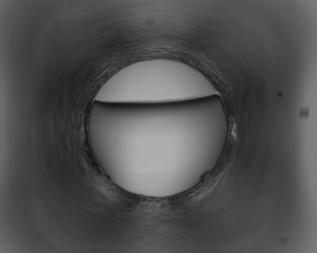 X0000101980771200807180800