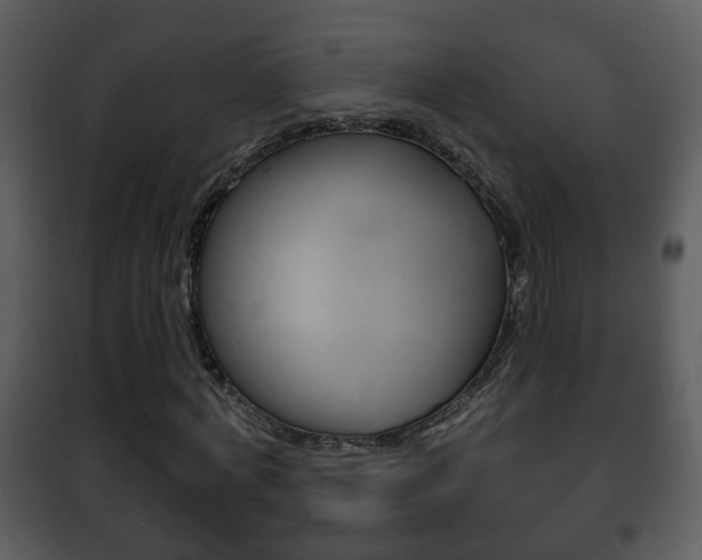 X0000101980772200807180800