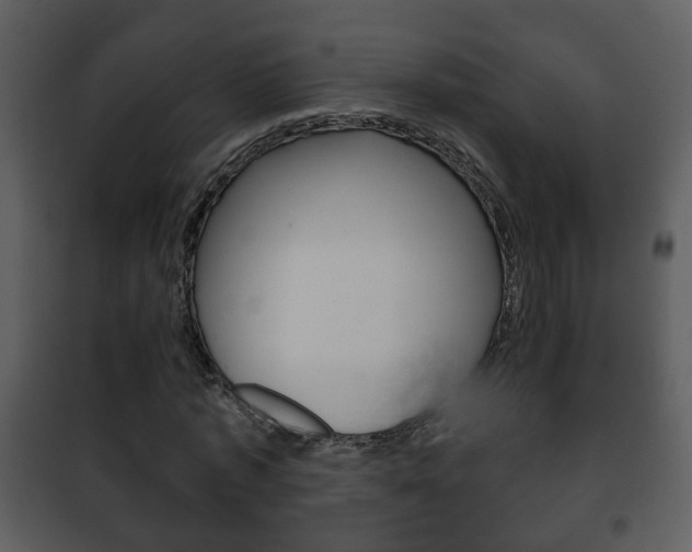 X0000101980773200807180800