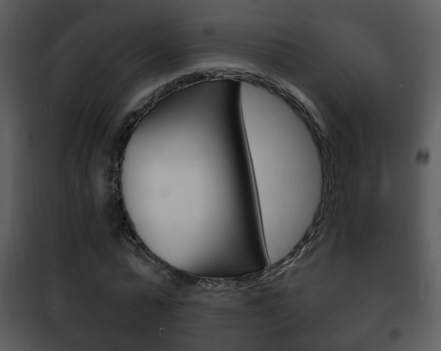 X0000101980775200807180800