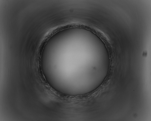 X0000101980776200807180800