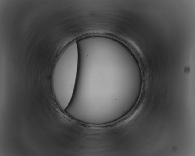 X0000101980777200807180759