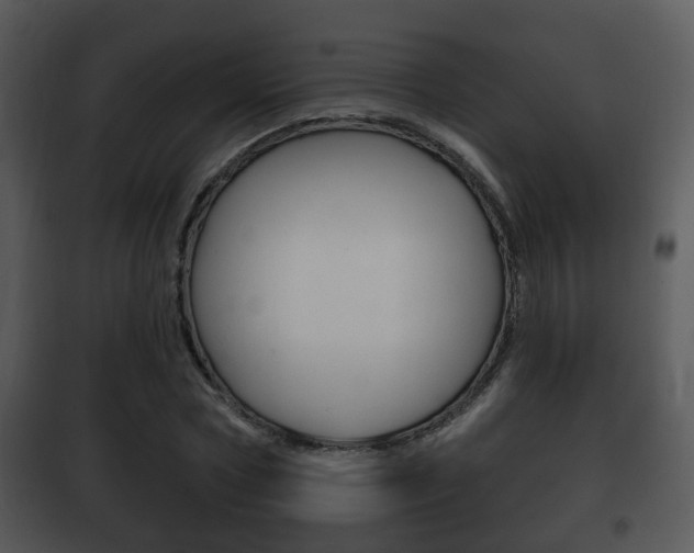 X0000101980778200807180759