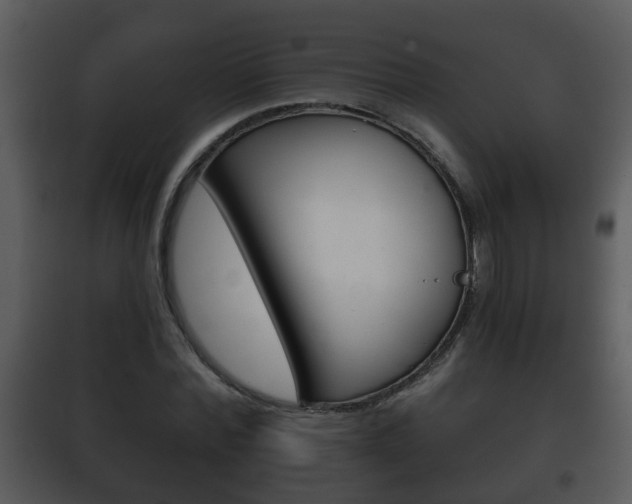 X0000101980780200807180759