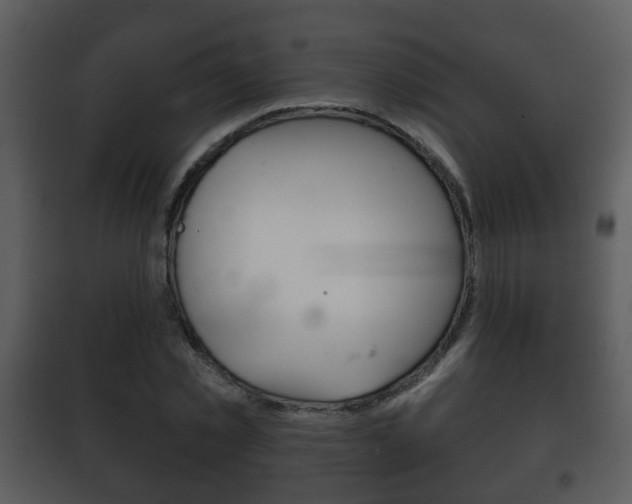 X0000101980781200807180759