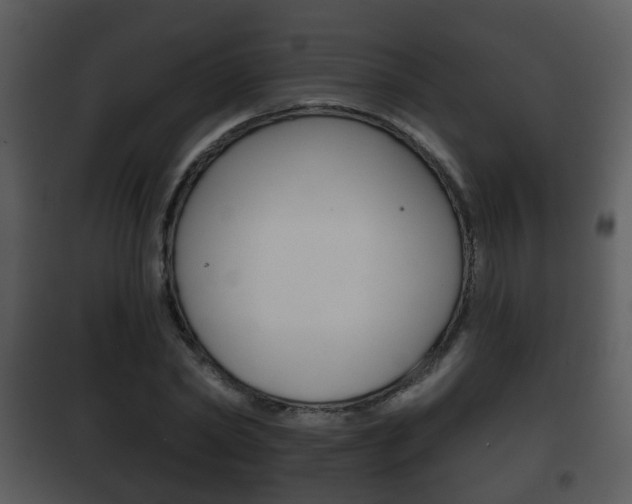 X0000101980782200807180759