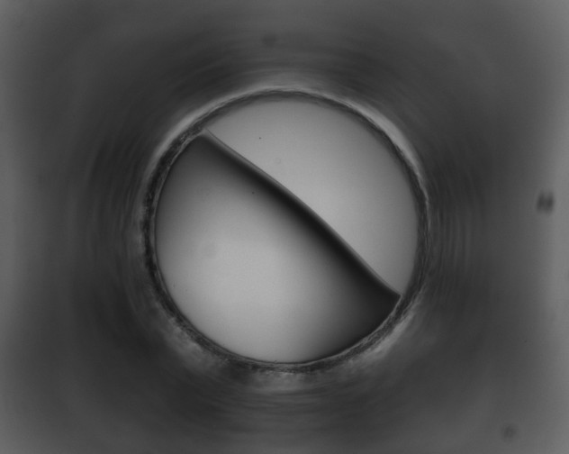 X0000101980783200807180759