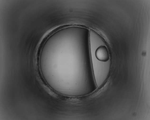 X0000101980784200807180759