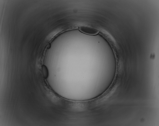 X0000101980785200807180759