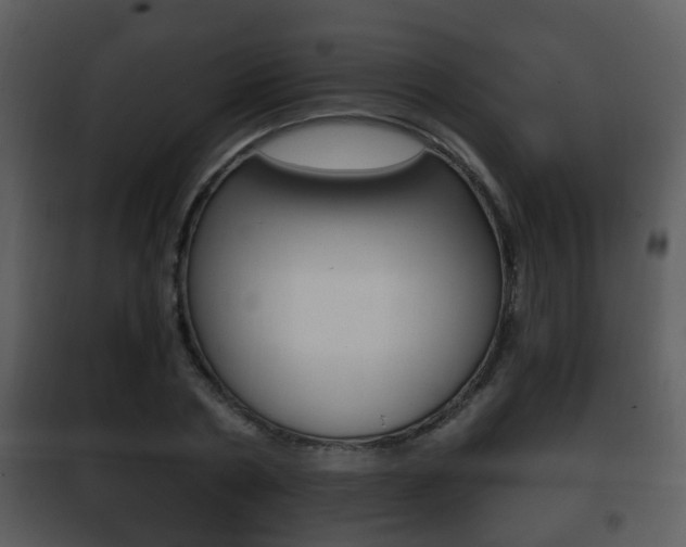 X0000101980786200807180759