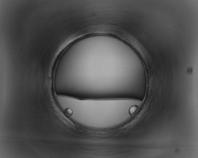 X0000101980787200807180759