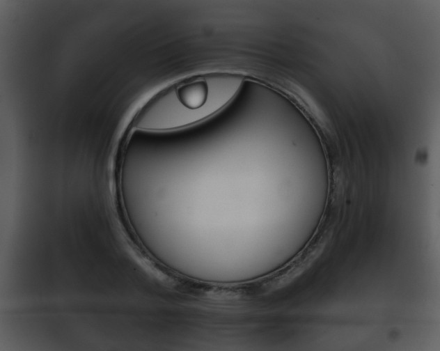X0000101980788200807180759