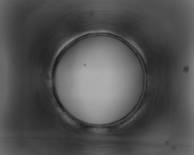 X0000101980789200807180759