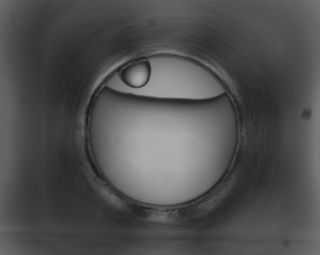 X0000101980790200807180759