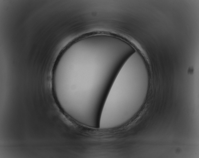 X0000101980791200807180759