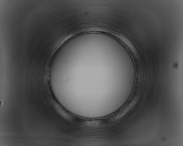 X0000101980793200807180759