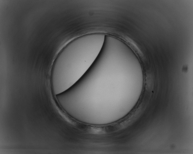 X0000101980794200807180759