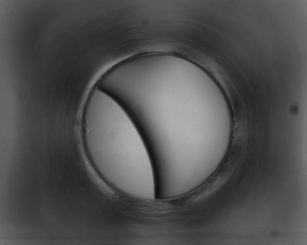 X0000101980795200807180759