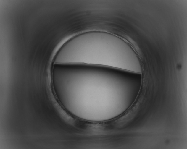 X0000101980796200807180759