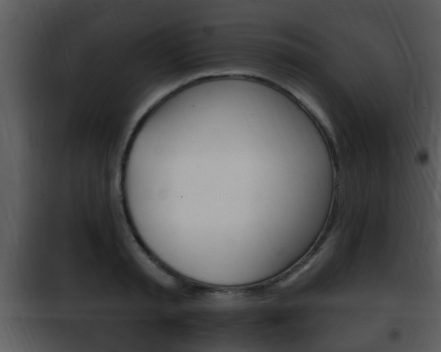 X0000101980797200807180759