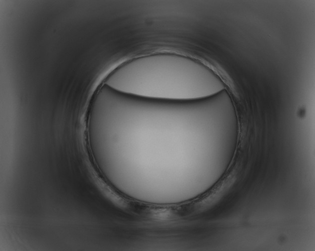 X0000101980798200807180759