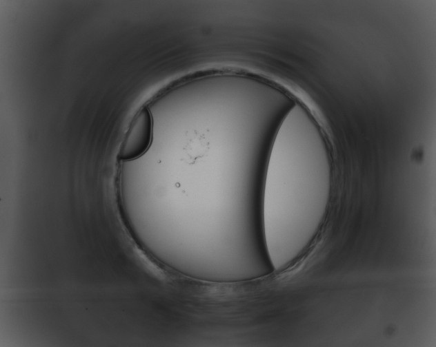 X0000101980799200807180759