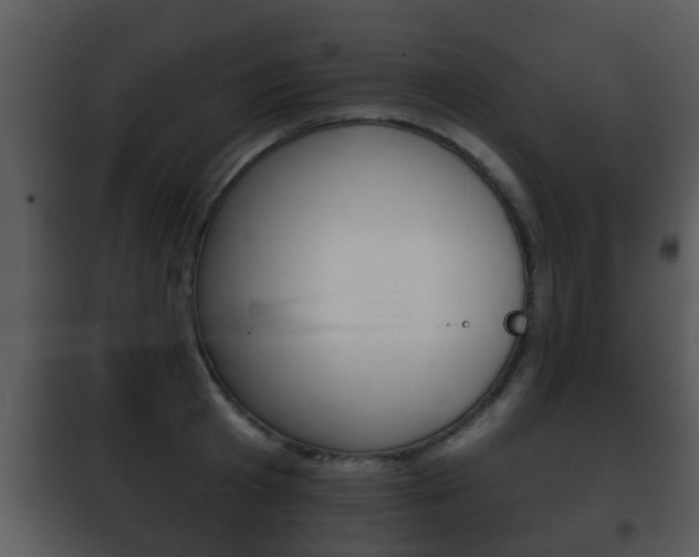 X0000101980801200807180759
