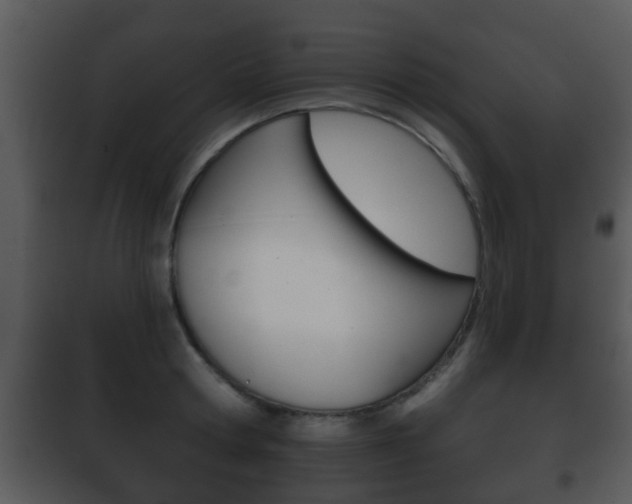 X0000101980802200807180759
