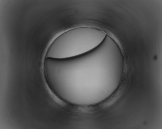 X0000101980803200807180759