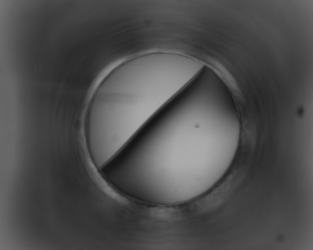 X0000101980804200807180759