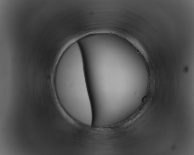 X0000101980805200807180759