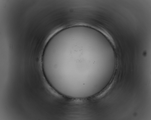 X0000101980806200807180759