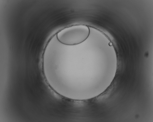 X0000101980807200807180759