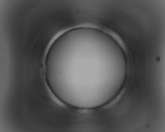 X0000101980808200807180759