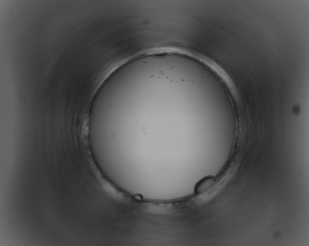 X0000101980809200807180759