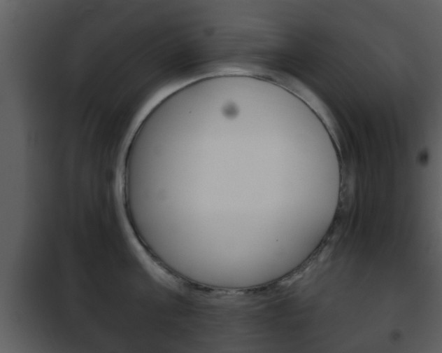 X0000101980811200807180759