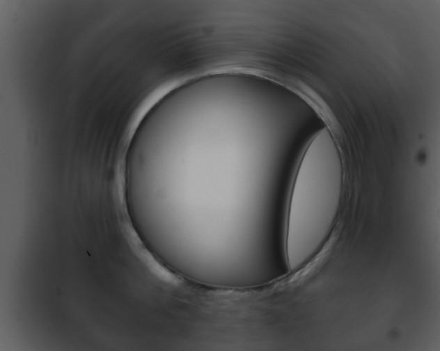 X0000101980812200807180759