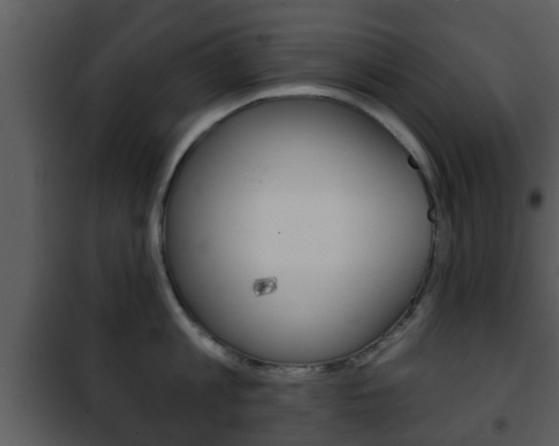 X0000101980813200807180759