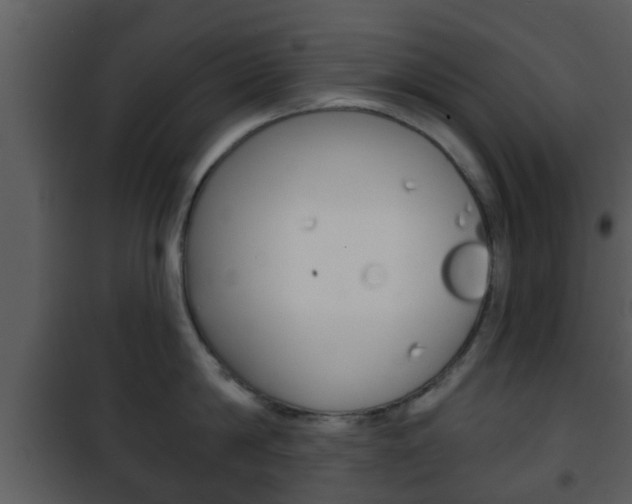 X0000101980814200807180759