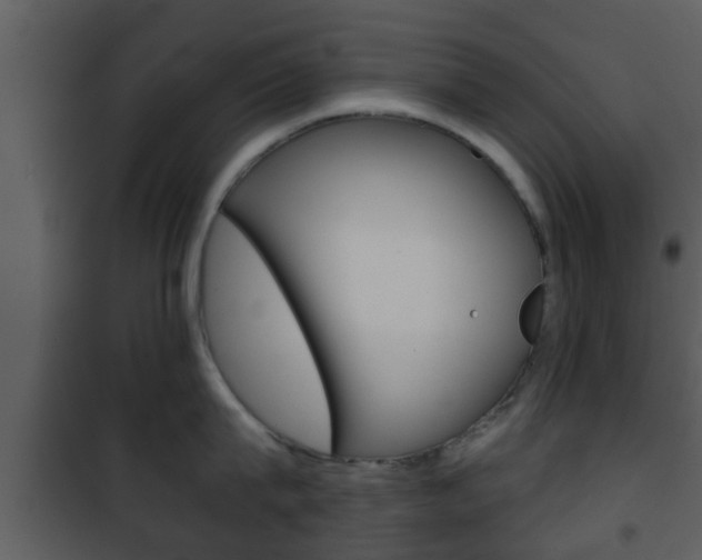 X0000101980815200807180759