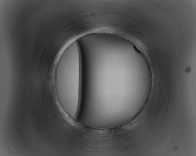 X0000101980816200807180759