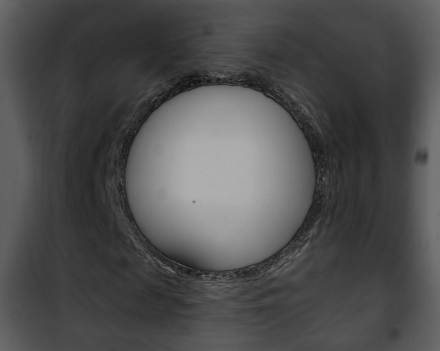 X0000101980817200807180758