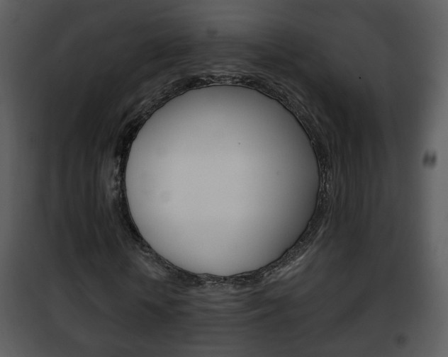 X0000101980818200807180758