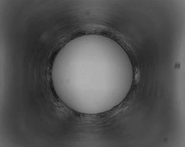 X0000101980819200807180758