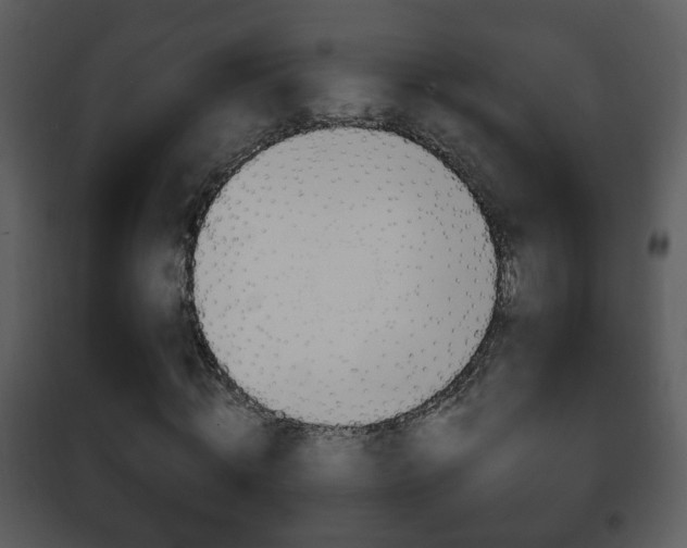 X0000101980820200807180758