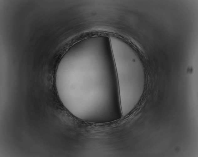 X0000101980821200807180758