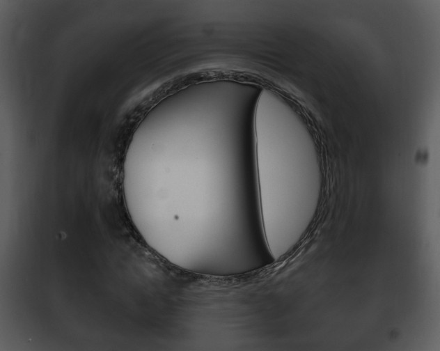 X0000101980822200807180758