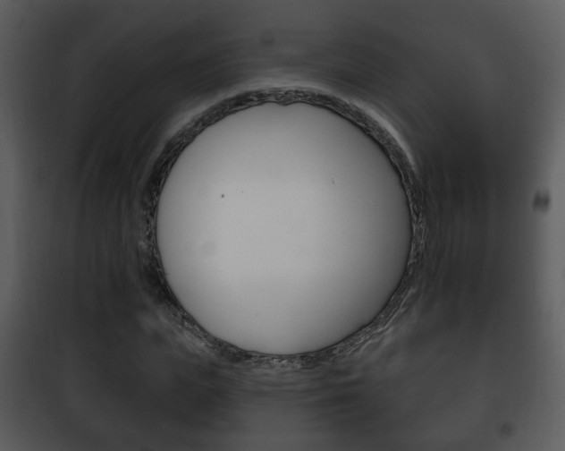 X0000101980823200807180758