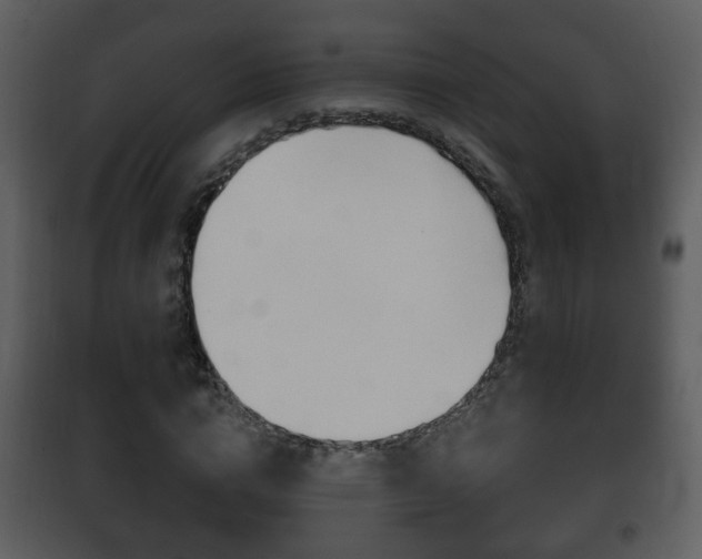 X0000101980824200807180758